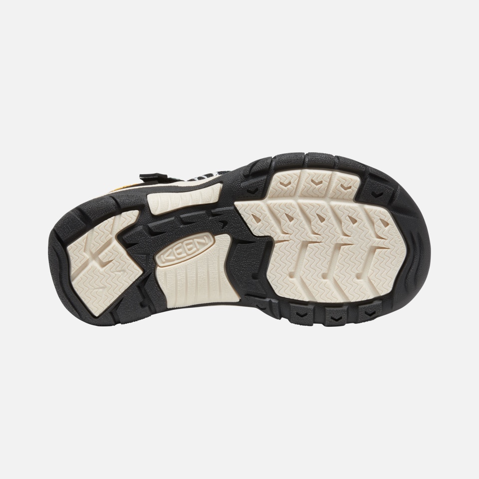 Cajeros Automáticos Zebra Star Sharp Big Kids' Newport H2