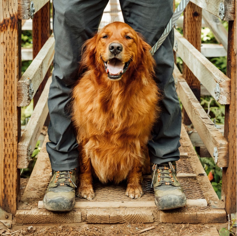 Botas Impermeables Ridge Flex Para Hombre De Kein Magnet Black