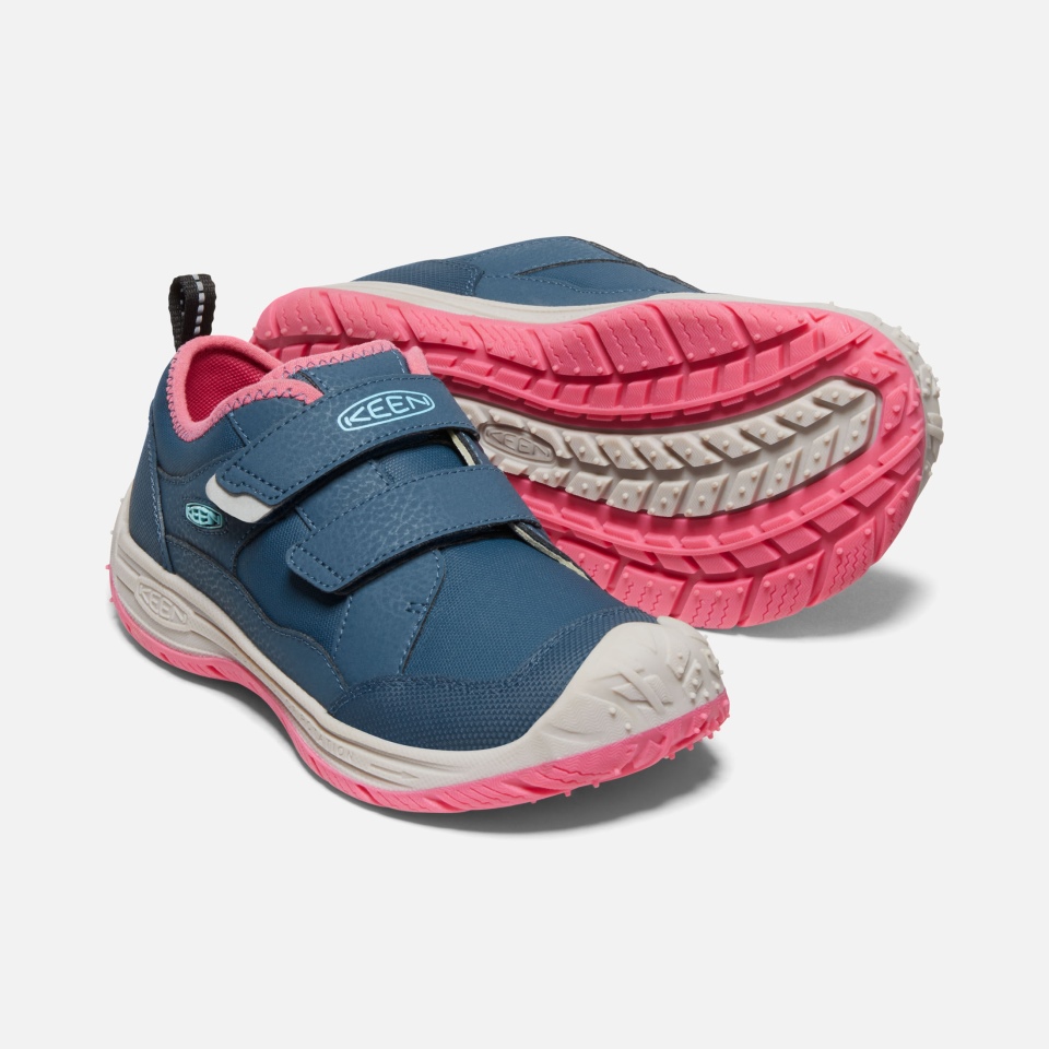 Ala Azul, Paloma De La Fruta Verde Azulado, Sabueso De Velocidad Para Niños Grandes Entusiastas