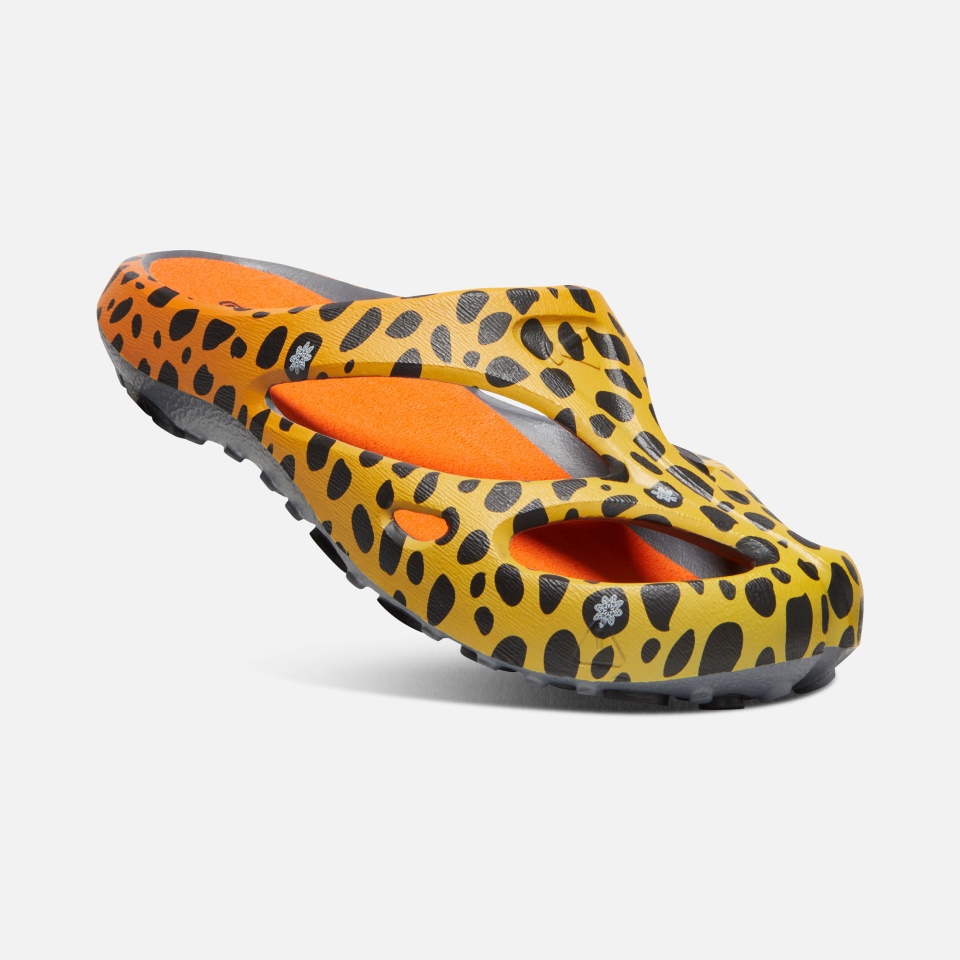 Thc Cheetah Arcoíris Hombres Shanti Artes Entusiastas