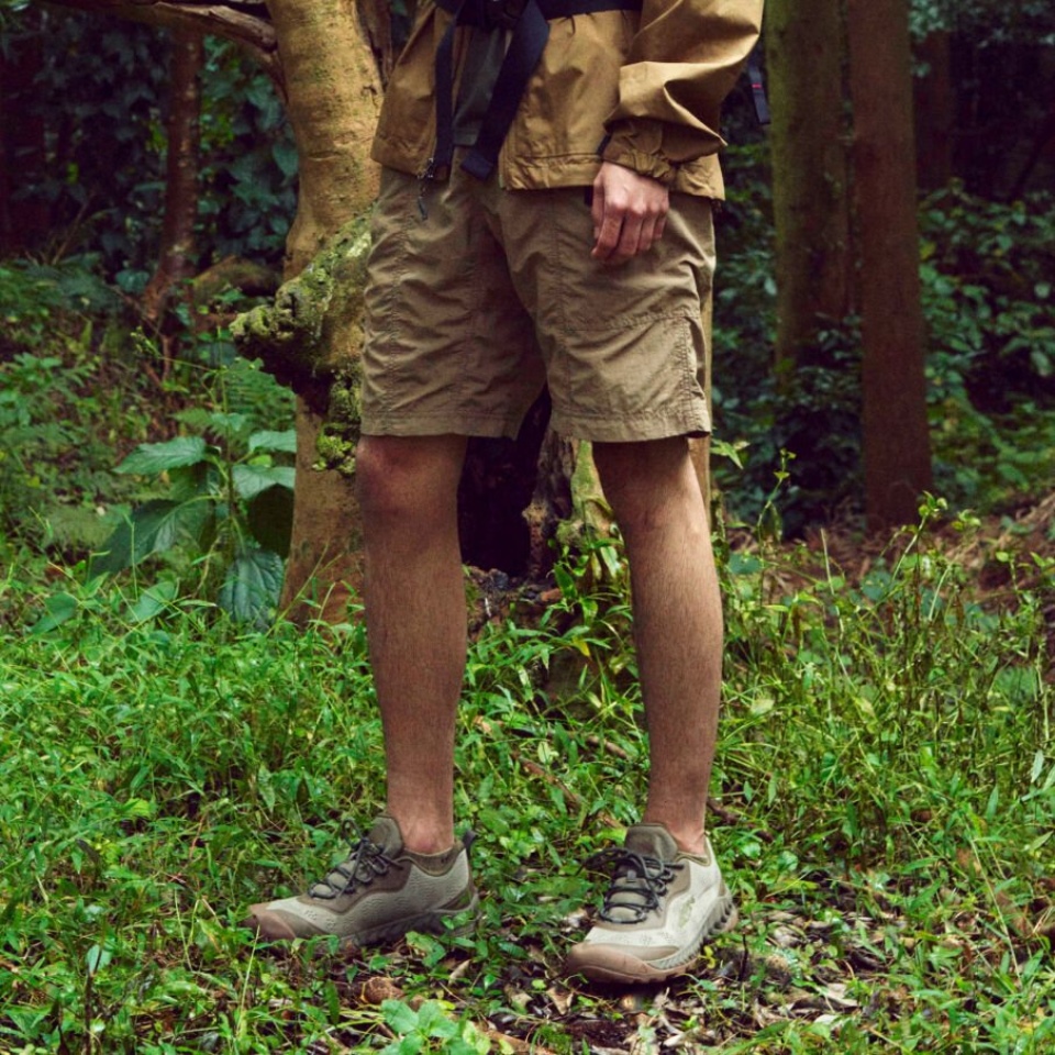 La Velocidad Del Nxis De Los Hombres Entusiastas Atigrados De La Cantina