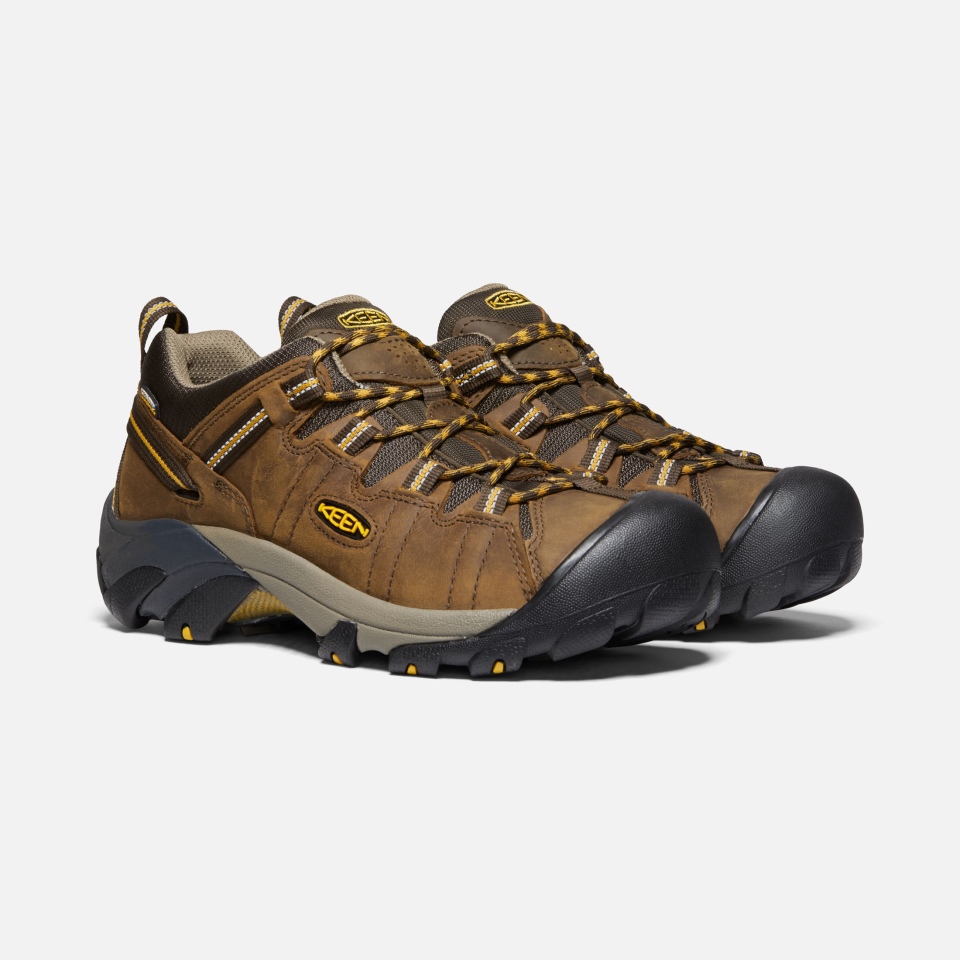 Sharp Cascade Brown-golden Yellow Men's Targhee Ii Impermeable Ancho