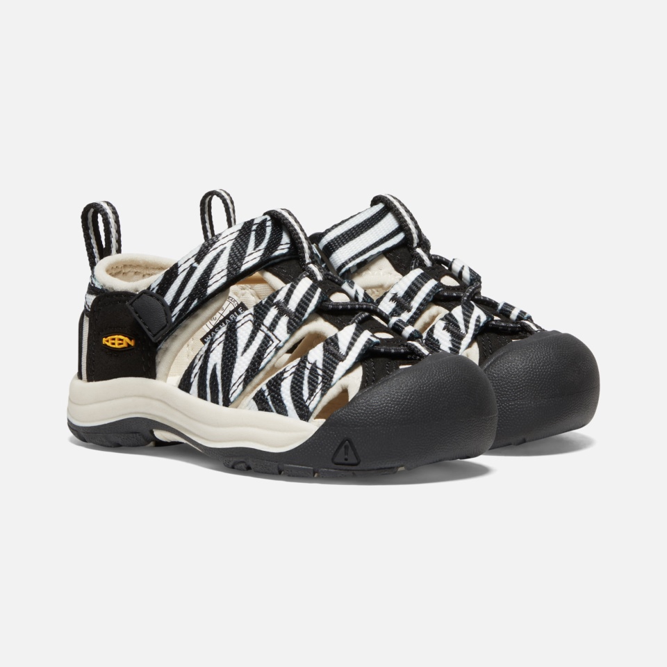 Cajeros Automáticos Zebra Star Sharp Niños Pequeños Newport H2