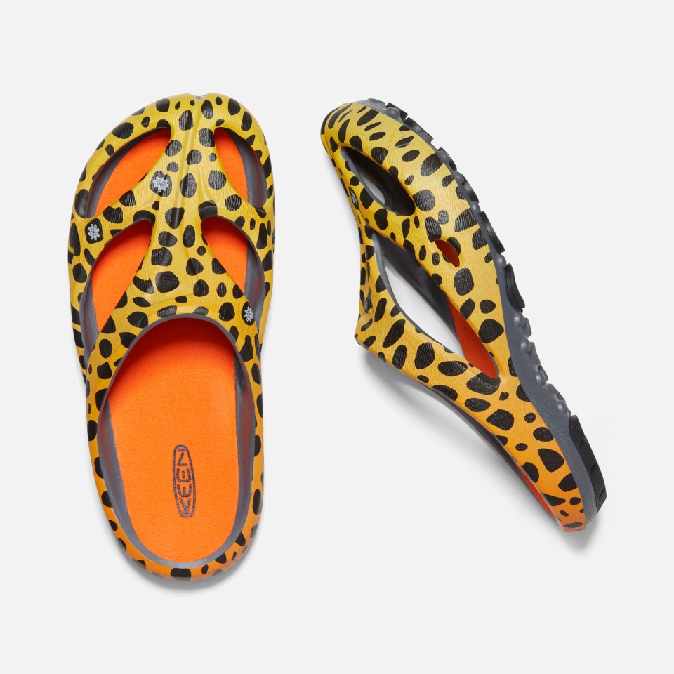 Entusiasta Thc Guepardo Arcoíris Mujeres Artes Shanti